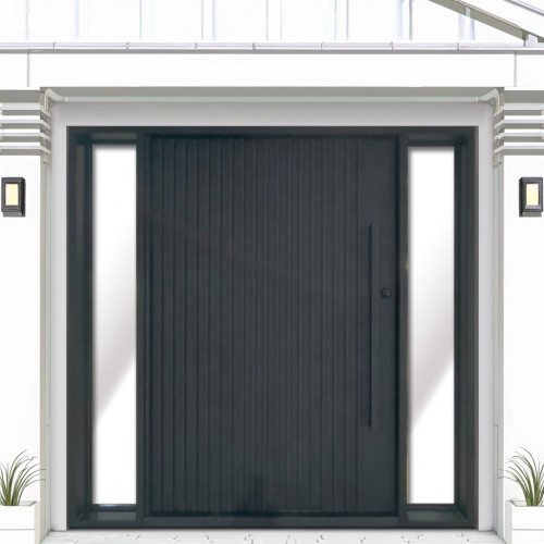 Modern French Wrought Iron Steel Panoramic Swing Pivot Door Windproof Iron Design for Outdoor Security for Apartments